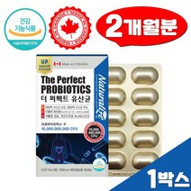 더 퍼펙트 유산균 프로바이오틱스 장건강 식물성 60캡슐 프롤린 NCFM 이눌린 프락토올리고당