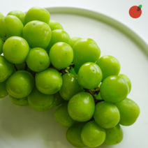 당도보장 김천 샤인머스켓 포도 특등급 망고포도 [김천앤], 김천 샤인머스켓 2kg 특등급 (3-4수)