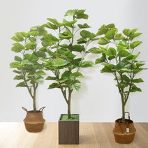 인조 리얼 휘카스 움베르타 조화나무 인테리어 화분, 1개, 움베르타 목재화분 1.8M