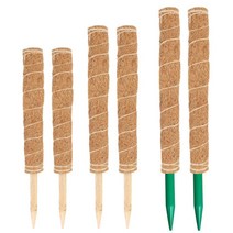 엔템 수태봉 2p 수태 식물지지대 코코봉 코코넛봉 2개 식물 지지대 지주대 조경자재 나무지지대 나무 지지대 코코넛 봉, 매직벨크로(블랙)10개