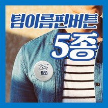 팀이름 핀버튼