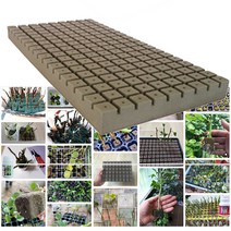 삽목용 오아시스 162구 1장, 3개