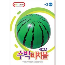 제우스 수박 비치볼 41