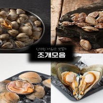 자연산 생합 바지락 동죽 키조개 돌조개 참가리비 1kg