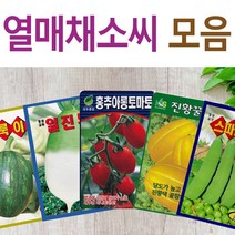 살아있는 씨앗 모음 열매씨앗 여주 우엉 박 토마토 참외 수박 오이 호박 가지 옥수수 깨 콩 팥 수수 밀 배추 양배추 열무 알타리 당근 무 비트 콜라비 고추 파프리카 종자, H-불이수박 x 1개, 1개