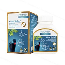 VT Gout Relief 60T