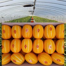 [ 산지직송 공주네 ] 성주참외 당도선별 꿀 참외 1kg 2kg 4kg 5kg 10kg 가정용 선물용 참외, 1box, 16.참외 정품 선물용 / 대과 10kg