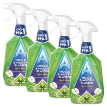 [아스토니쉬] 세정제 세척제 곰팡이 제거제 애플 750ml 4개