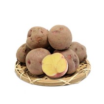 GAP인증 속노란 하동 자색유황감자 (중) 1.8kg 외 / 홍감자 2022년 가을수확 햇감자, 1박스, (중) 3.7kg