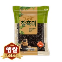 현대농산 2022년산 햅쌀 국산 찰흑미 2kg