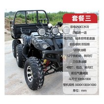 농업용 사륜오토바이 125CC 250CC 500CC ATV 소형바이크 미니화물트럭, 패키지1) 250CC