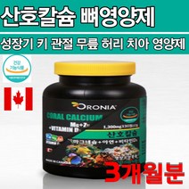 치아 신경 근육 허리 무릎 형성 영양 산호칼슘 비소성 임산부 수유부 성장 발육 어린이 청소년 CORAL CALCIUM