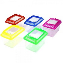 곤충채집통 채집통 도마뱀통 채집 잠자리통 곤충 파충류, 상세페이지 참조