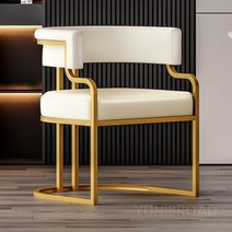 미용의자 인테리어 팔걸이 네일 미용실 의자, D. 화이트 골드의자프레임, 1개