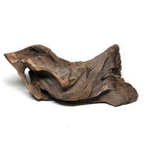 피알피쉬 맹그로브 유목 (중), 1개
