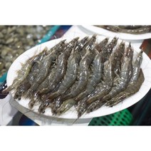 활 생물 흰다리새우 제철 생새우회 구이 찜 대하구이 1kg 국내산 산지직송, 1개