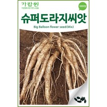 슈퍼 도라지 씨앗 으뜸 도라지씨 약초 종자 씨 2000알