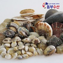 동부수산 모듬 조개구이 세트 2kg내외 (키조개포함), 1개, 01.알뜰세트 2kg