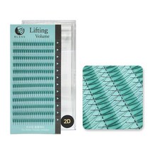 블레스 리프팅볼륨래쉬 2D(Y래쉬) 러시안볼륨래쉬 속눈썹연장재료 닭발래쉬, 1개, 컬종류-C컬/컬굵기-0.07/컬길이-8mm