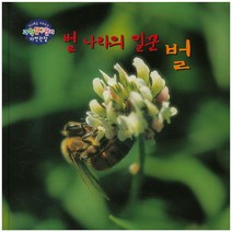 벌 나라의 일꾼 벌, 세종