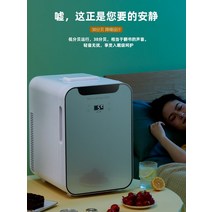 자동차 미니 냉장고 소형 주택 기숙사 임대 사무실, 20리터 듀얼코어 강제 냉각 칩 2세트