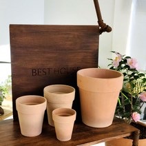 베트남 토분 테라원 수국 아레나 D33 33x14c, 쿠팡 아이템온 본상품선택