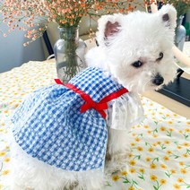 PETCIRCLE-강아지 옷 격자 무늬 리본 거즈 스커트 드레스 작은 강아지 애완 동물 고양이 봄/여름 귀여, 01 Blue_01 XS