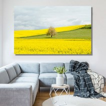 유홍아트 나무 한 그루 와이드 풍경 사진 그림 액자 6호(41x27cm) (5729158)