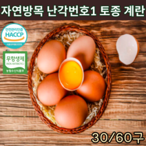 HACCP 인증 무항생제 난각번호1번 토종란 자연방사 동물복지 유정란 토종닭 알 자연 방목계란 생계란 유황 신선란 부화용 금계 프리미엄 달걀 정기배송 번호 30구, 토종란 30구*2개
