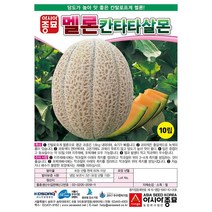 아시아종묘 칸탈로프 멜론씨앗 칸타타살몬 (10립), 1개