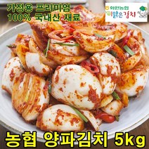 해남 화원농협 양파김치 5kg 이맑은김치, 100% 국내산 양파김치 5kg
