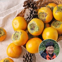 단감아저씨 이용수님의 진영 단감 5kg 30과 내외(소과), 단품