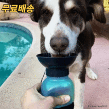 강아지 산책 물통 물병 식수대 급수기 텀블러 고양이정수기 야외 캠핑 피크닉 등산 물그릇 반려동물 반려견산책도우미, 핑크