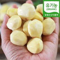 (자연마을) 공주 정안 유기농 깐밤 산지직송 500g 1kg, 500g 2팩, 2개