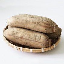 [무농약특품연근무농약국내산친환경슬라이스] 후니팜 햇 연근 국산연근 흙연근 특품 1kg 3kg 5kg 10kg