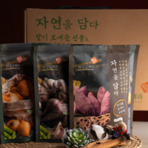 [화성당제과]자연을담다_선물세트(미니)무기름/무색소/무방부제 (설탕이 아닌 사탕수수로 단맛을 낸 수제간식) 강황 연근 고구마 양파 마늘 계피등을함께 구워만든 부모님간식 환자영양간식, 2세트(3종X2상자)