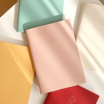 심플 만년 가계부 캐시북 5종, 민트