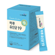 대상웰라이프 하루 유산균 19, 60g, 1개
