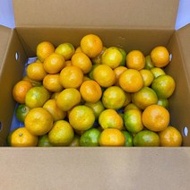 제주 고당도 하우스감귤 제주감귤 5kg 1박스 산지직송 감귤 제주 동문시장