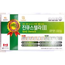 캐나다 진큐센텔라 2 혈액순환 혈행 기억력 개선제 영양제, 120정, 120정