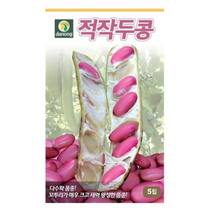 적작두콩 씨앗 30립 OK, 3개