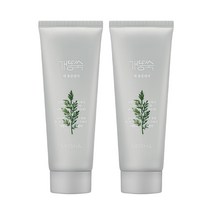 미샤2개 개똥쑥 팩 폼 클렌저 150ml