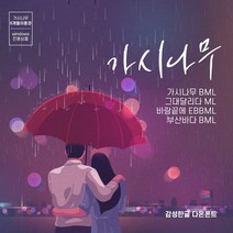 다온폰트 타이핑치는 캘리그라피 가시나무 6개월 쿠폰(윈도우전용), DAON GASINAMU / 6