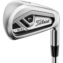 t300 아이언 n.s.pro 880amc 아이언 t series (타이틀리스트)