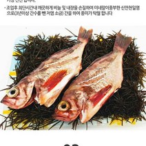 가거도 불볼락 불볼락 특대 2마리 대 3마리, 2마리(특대)