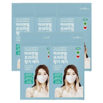 OBS 마리앤텔 프리미엄 향기 패치 레몬페퍼민트향 8p, 5개