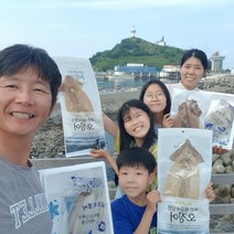 동해오징어 인기 상품 할인 특가 리스트