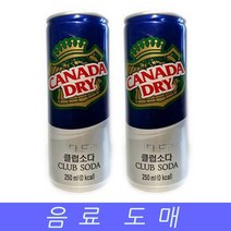 [모비딕컴퍼니] 캔탄산음료 업소토닉워터 맛있는탄산음료 사무실음료 탄산수 영업용음료, 잇★ 음료수 탄산 음료 캐나다드라이 클럽소다 250ml, [좋아요]