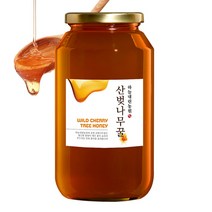 국산꿀 강원도 천연벌꿀 산벚나무꿀 1.2kg, 단품, 1개