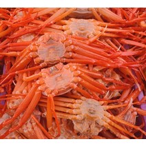 포항 구룡포 박달 붉은 영덕 대게 연지홍게 홍개 제철 살수율80% 자숙 찜 발송 3kg, 박달형 2kg(7미)